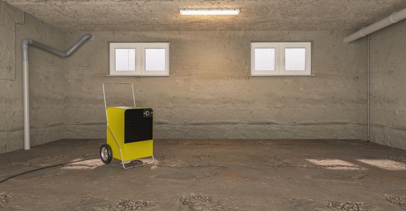 Basement Dehumidifier Service in Sarasota, FL