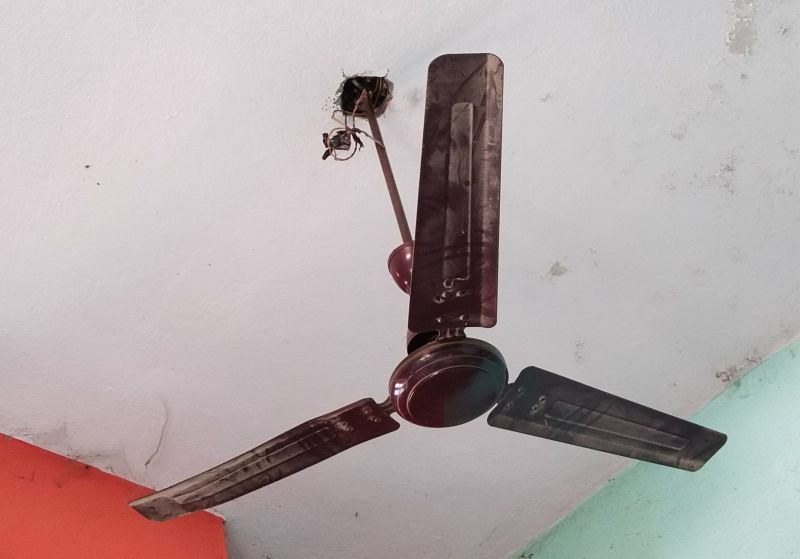 Garage Ceiling Fan Repair in Denver County, CO