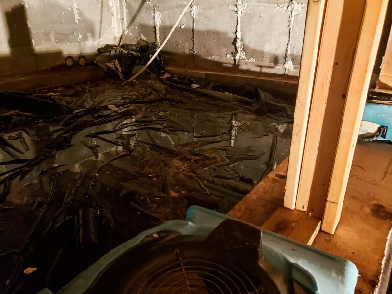 Basement Dehumidifier Service in Monmouth County, NJ