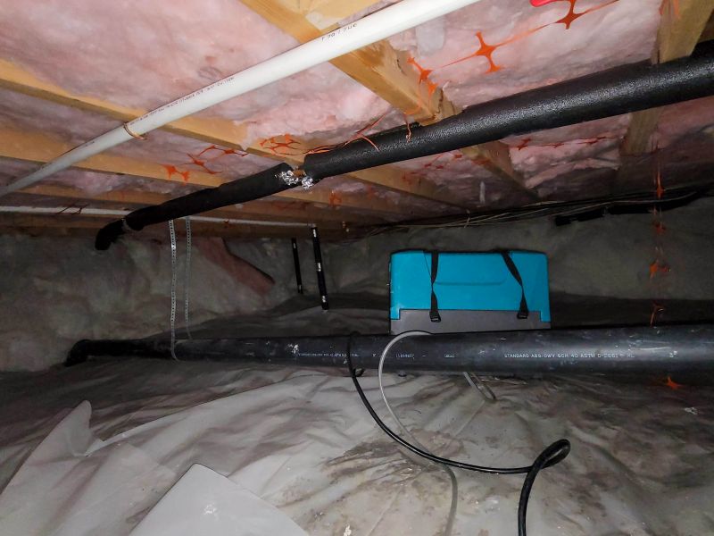 Basement Dehumidifier Service in Naples, FL