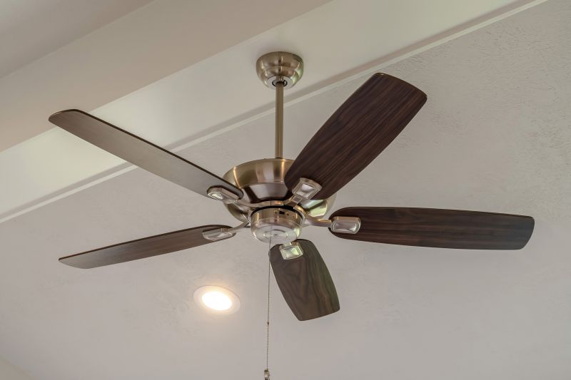 Ceiling Fan Replacement in Conroe, TX