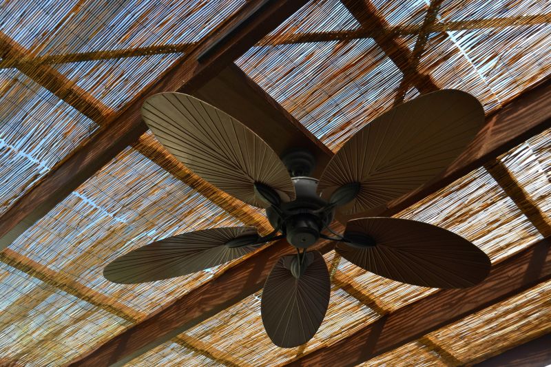 Ceiling Fan Replacement in Overland Park, KS