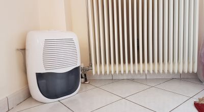 Dehumidifier Replacement in Annapolis, MD